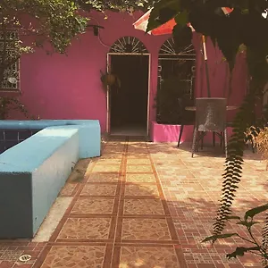 https://funky-monkey.guayaquilhotels.org